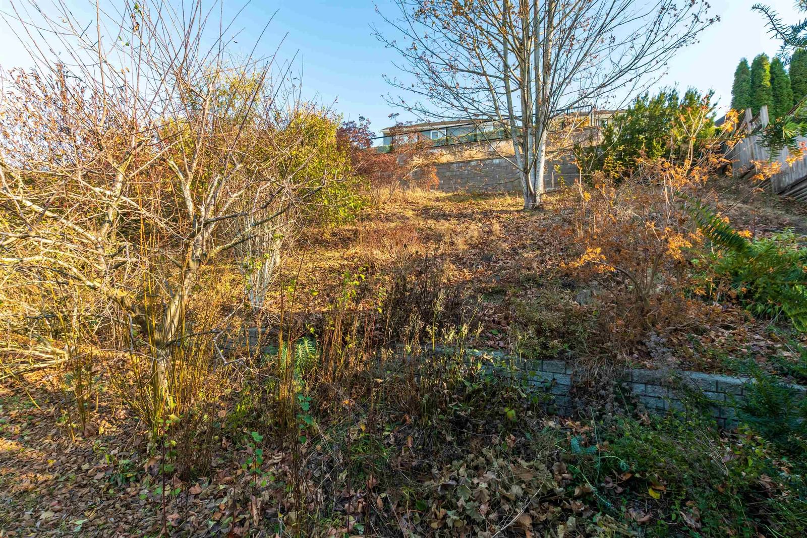 Listing Image 36