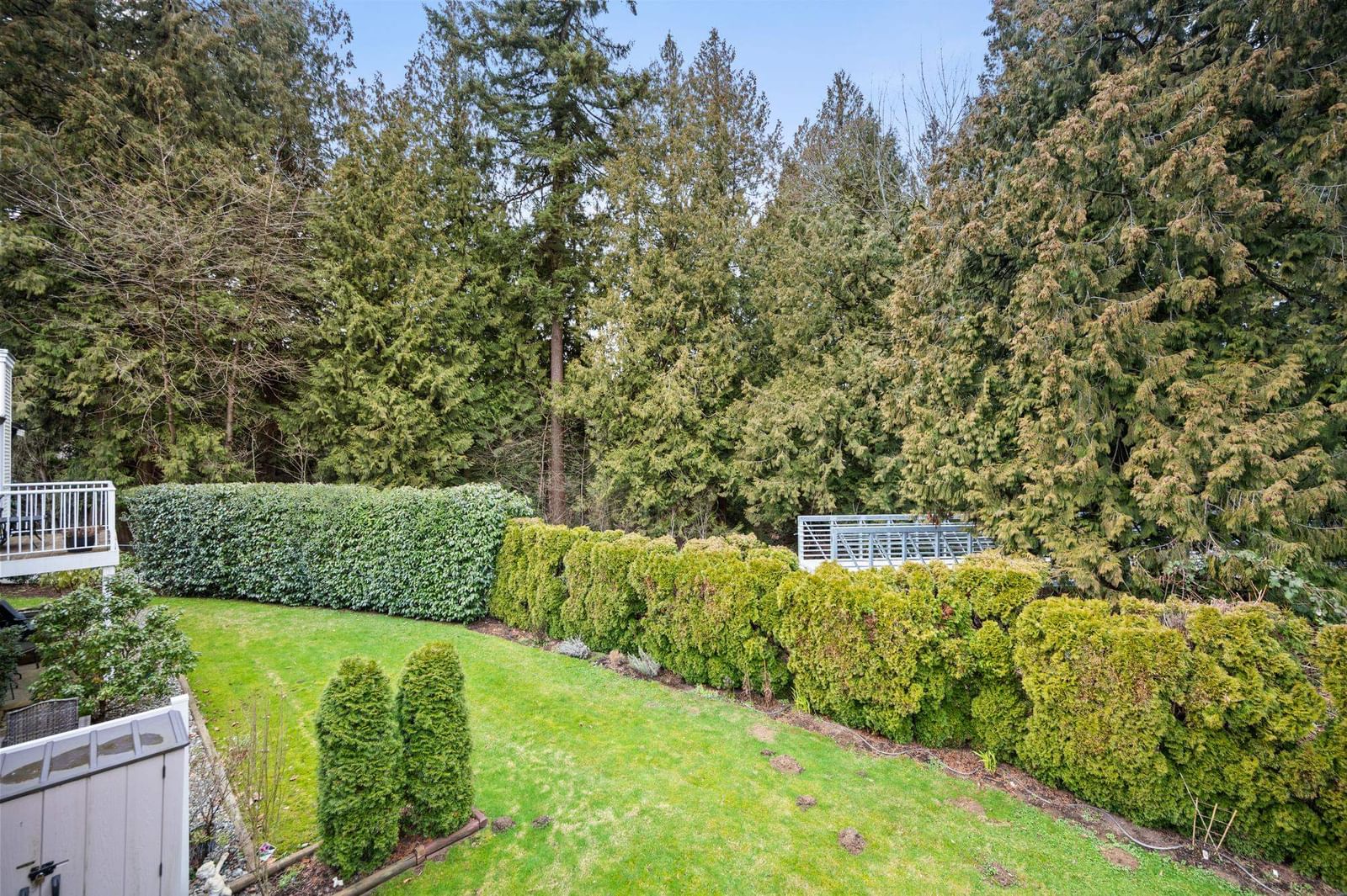 Listing Image 37