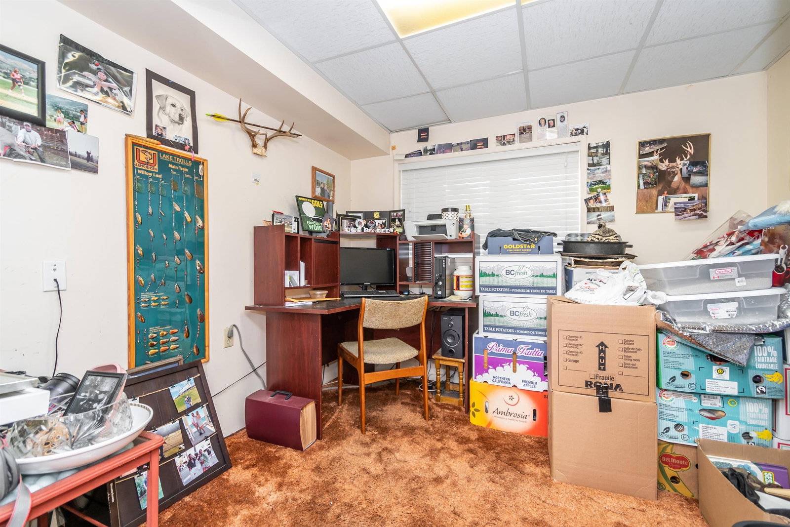 Listing Image 23