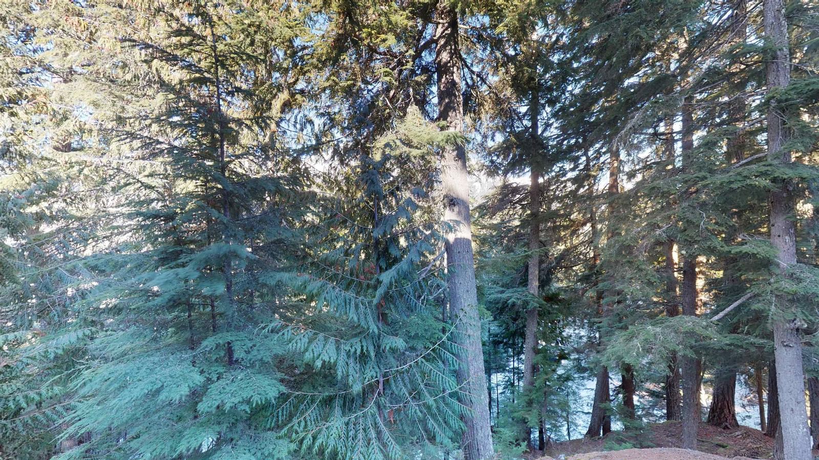 Listing Image 13