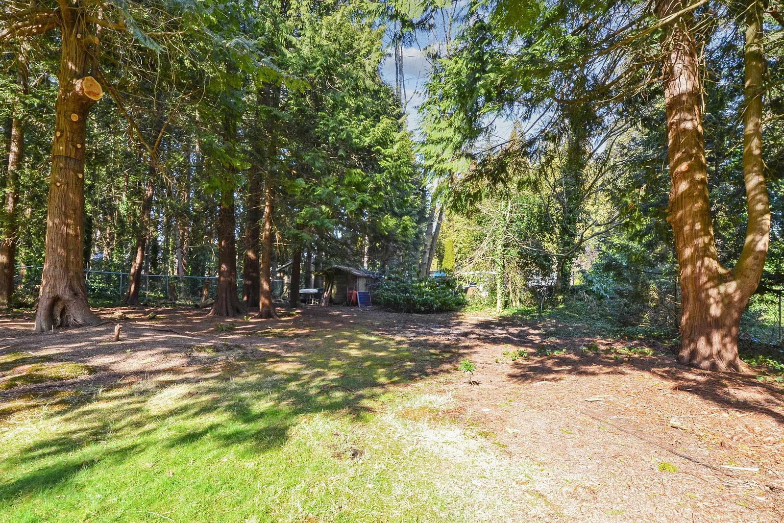 Listing Image 25