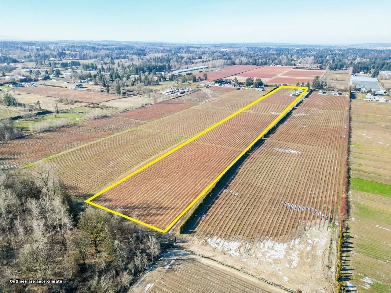 Listing Image 21