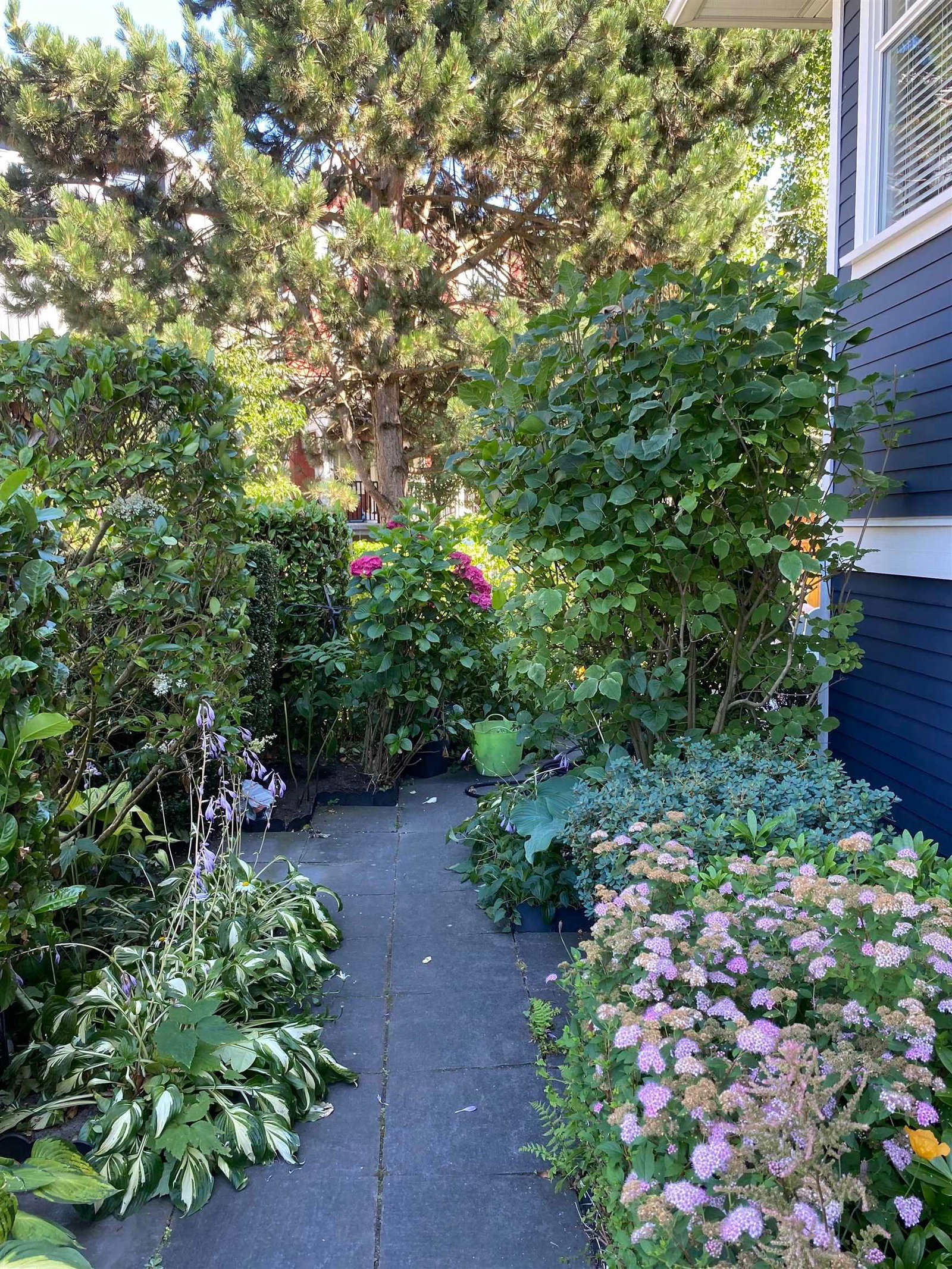 Listing Image 33