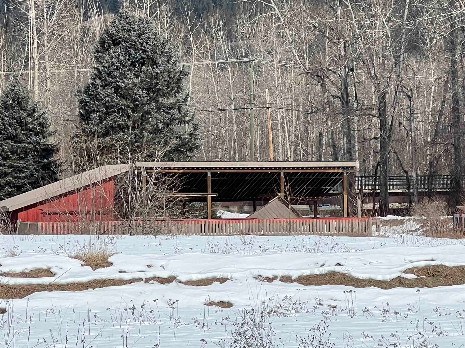 Listing Image 19