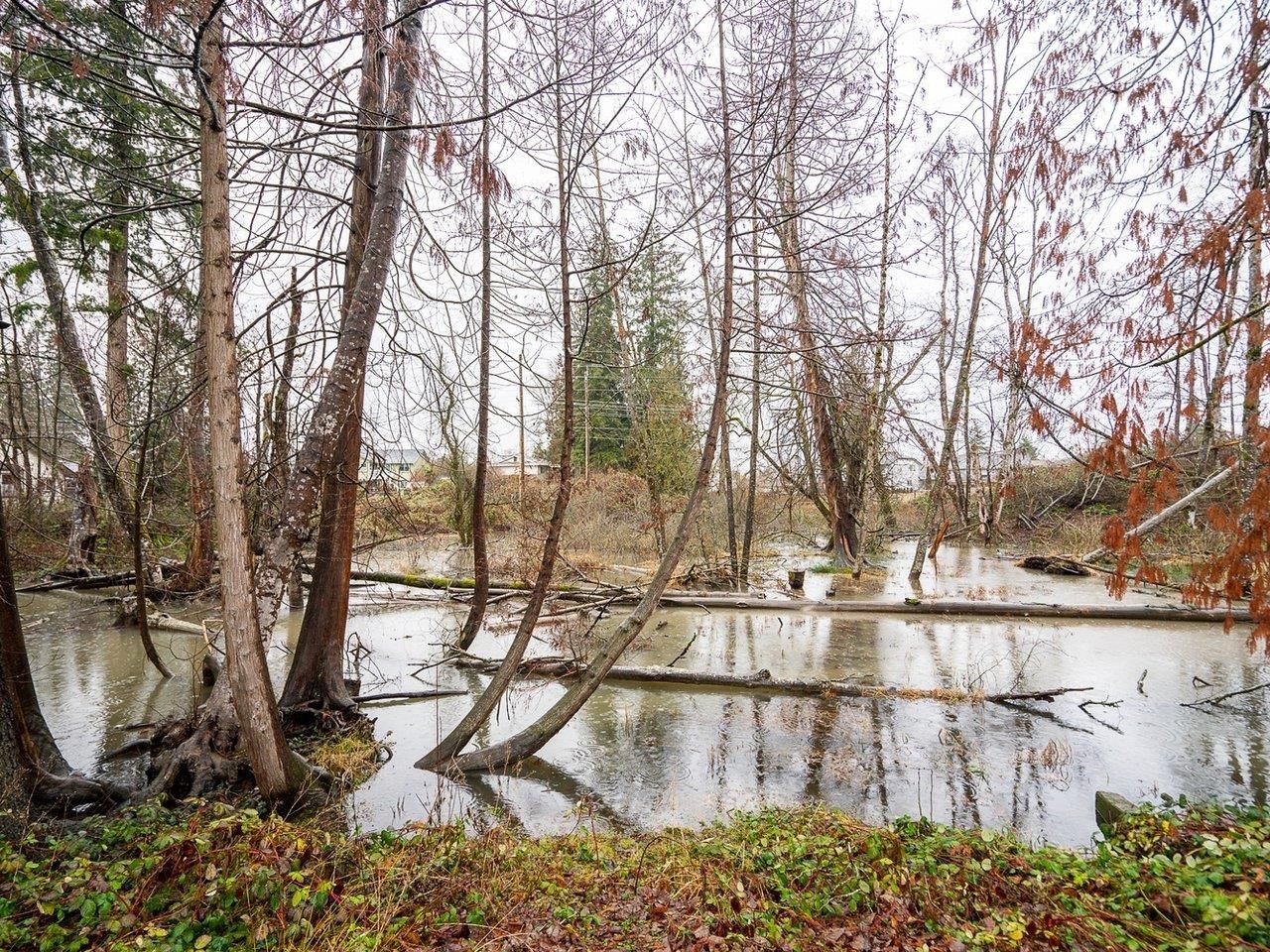 Listing Image 29