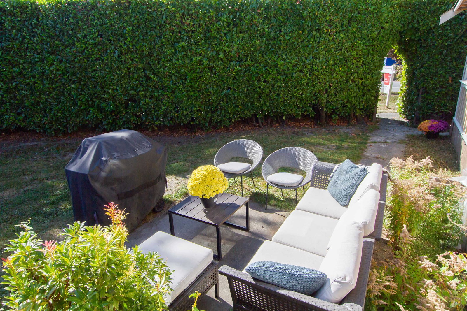 Listing Image 22