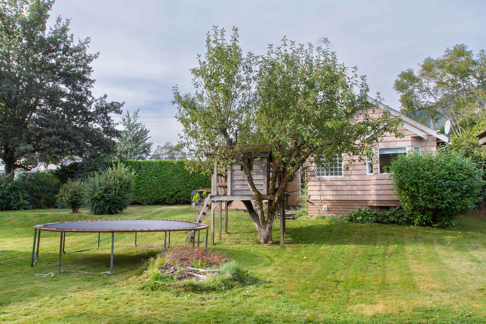 Listing Image 24