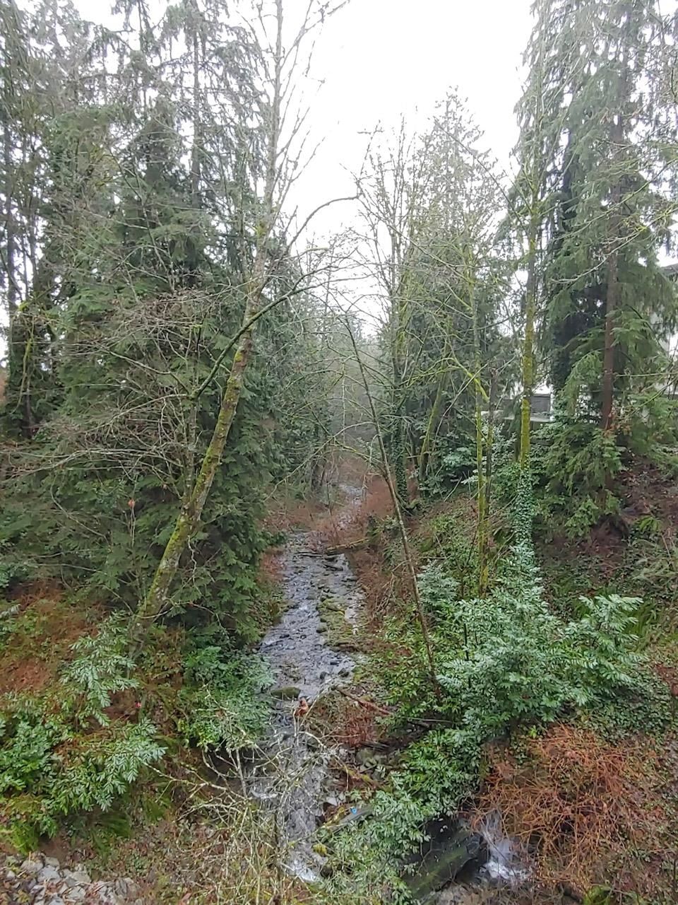 Listing Image 29