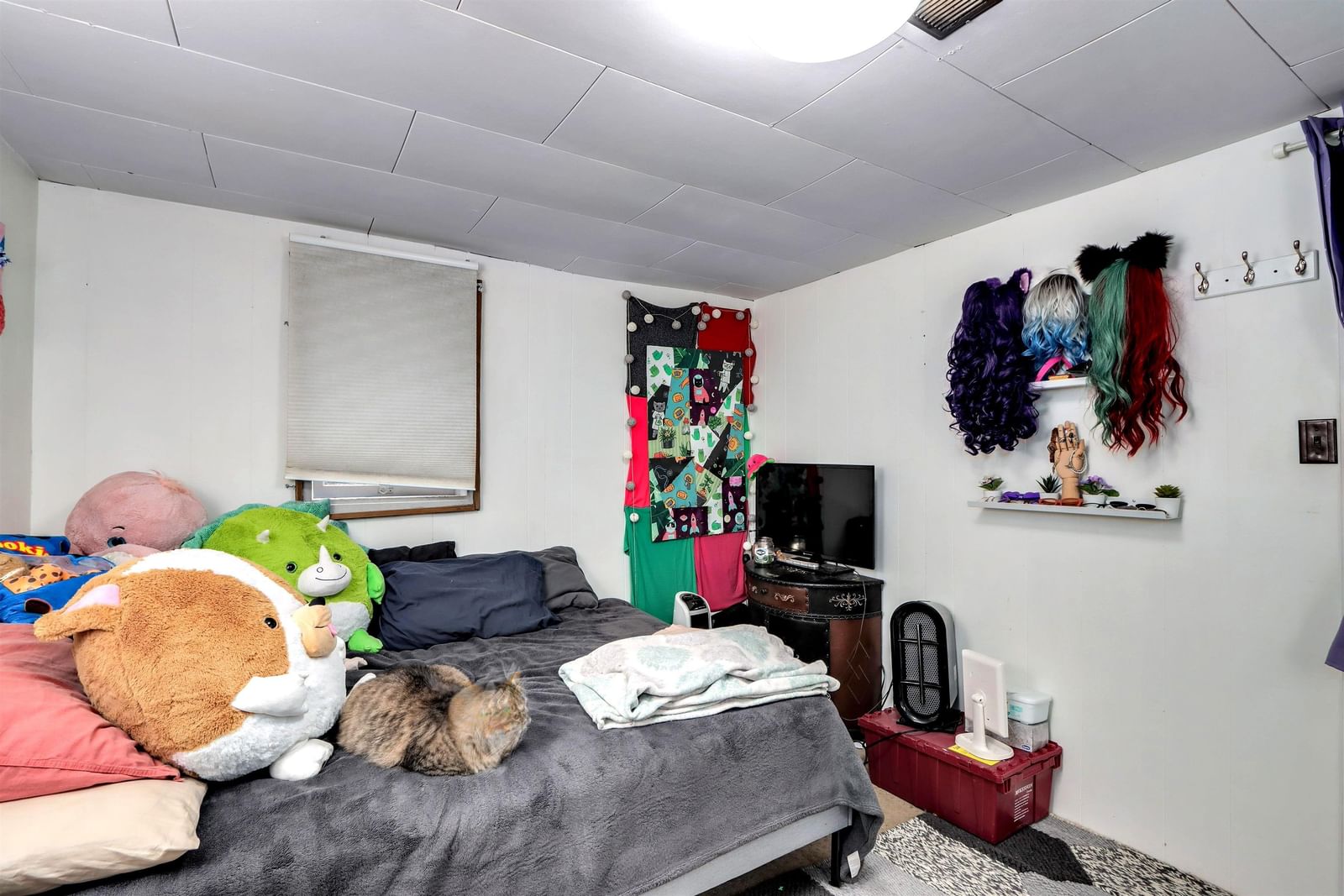 Listing Image 22