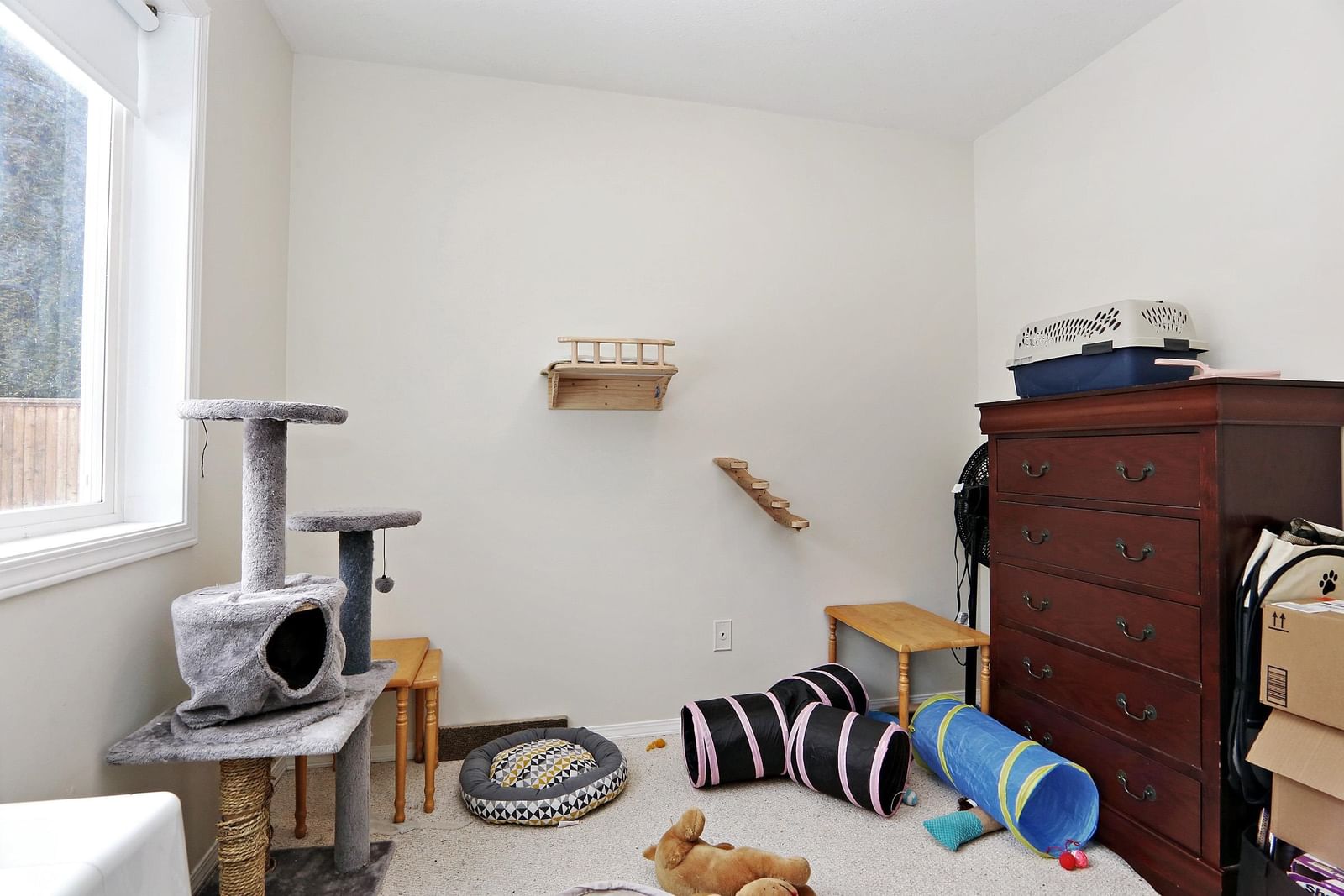 Listing Image 30