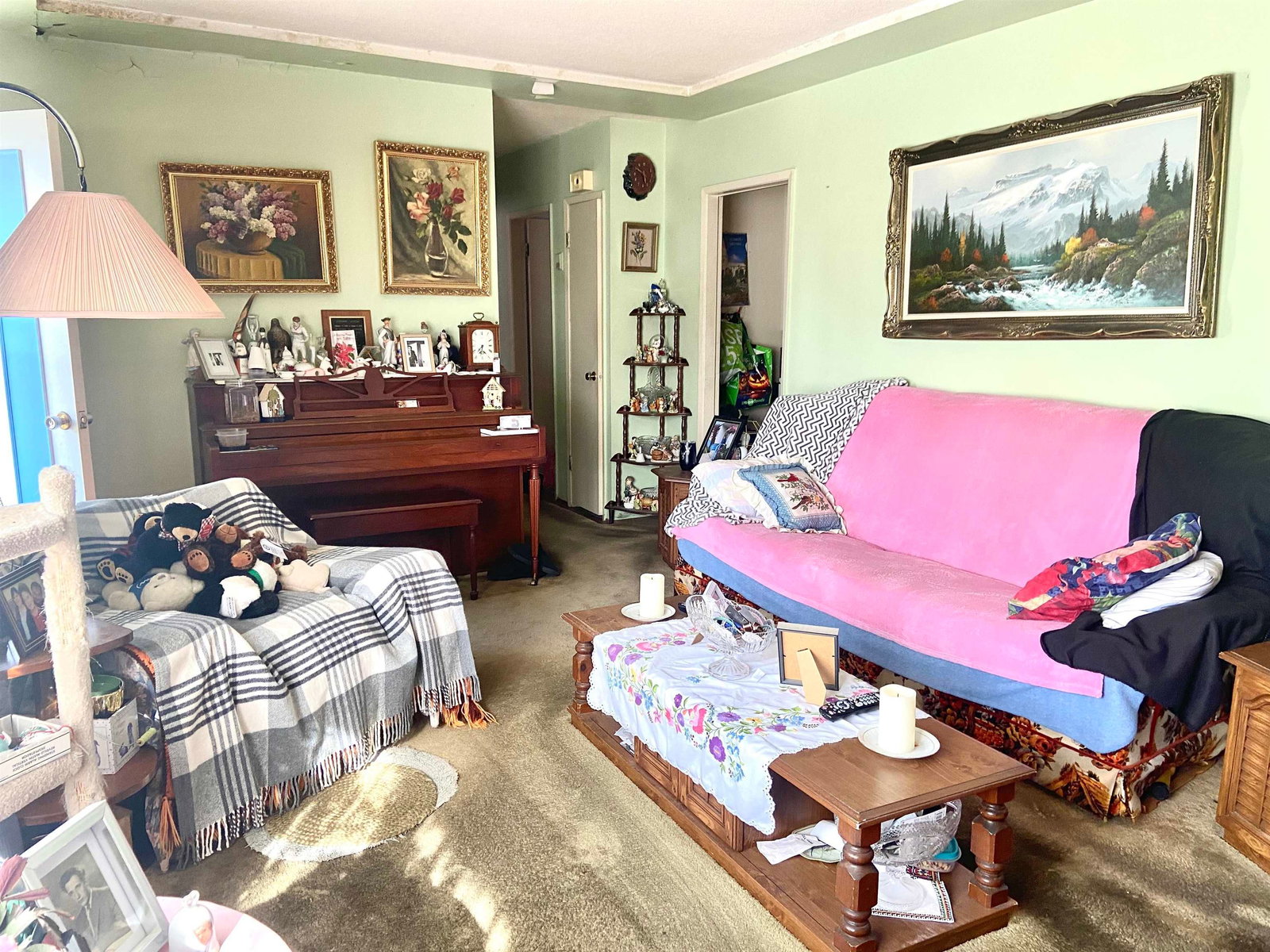 Listing Image 18