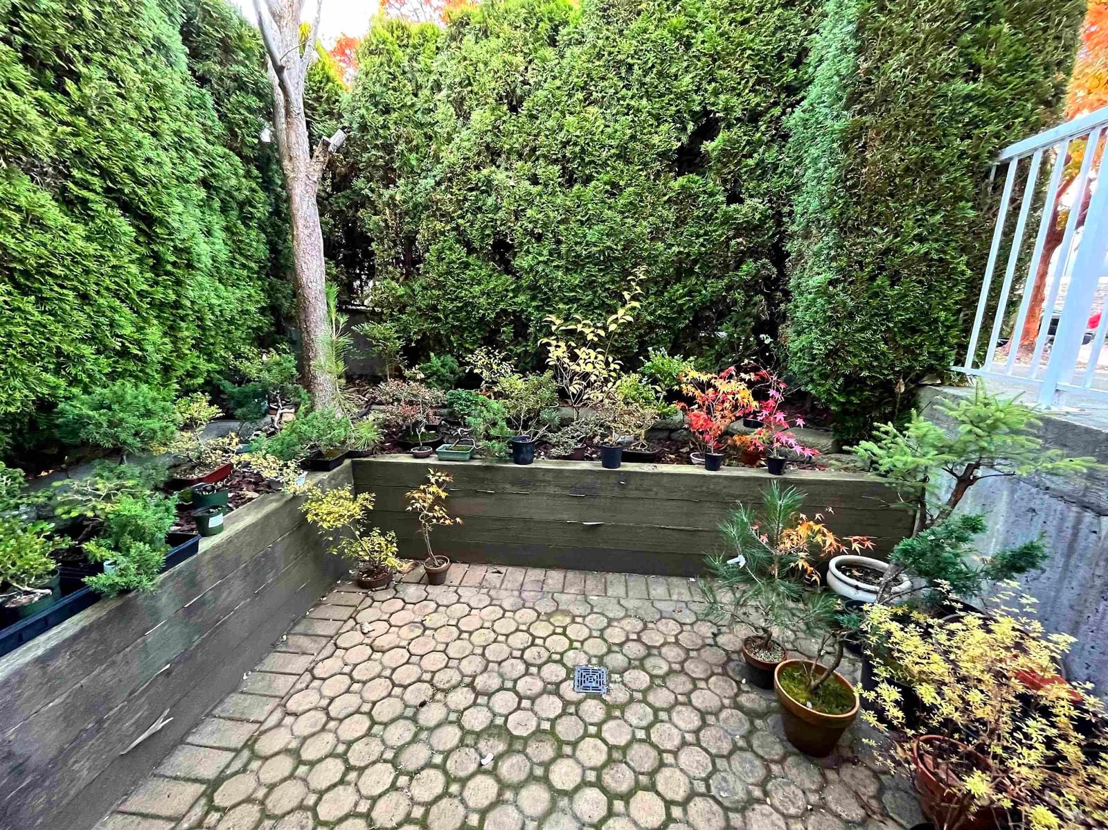 Listing Image 17