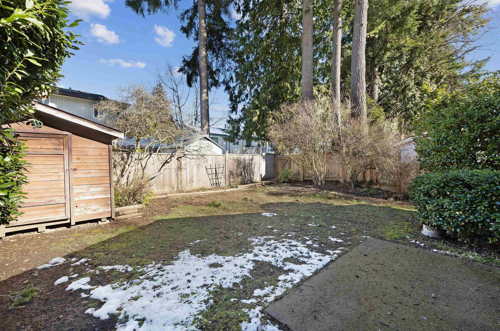 Listing Image 16