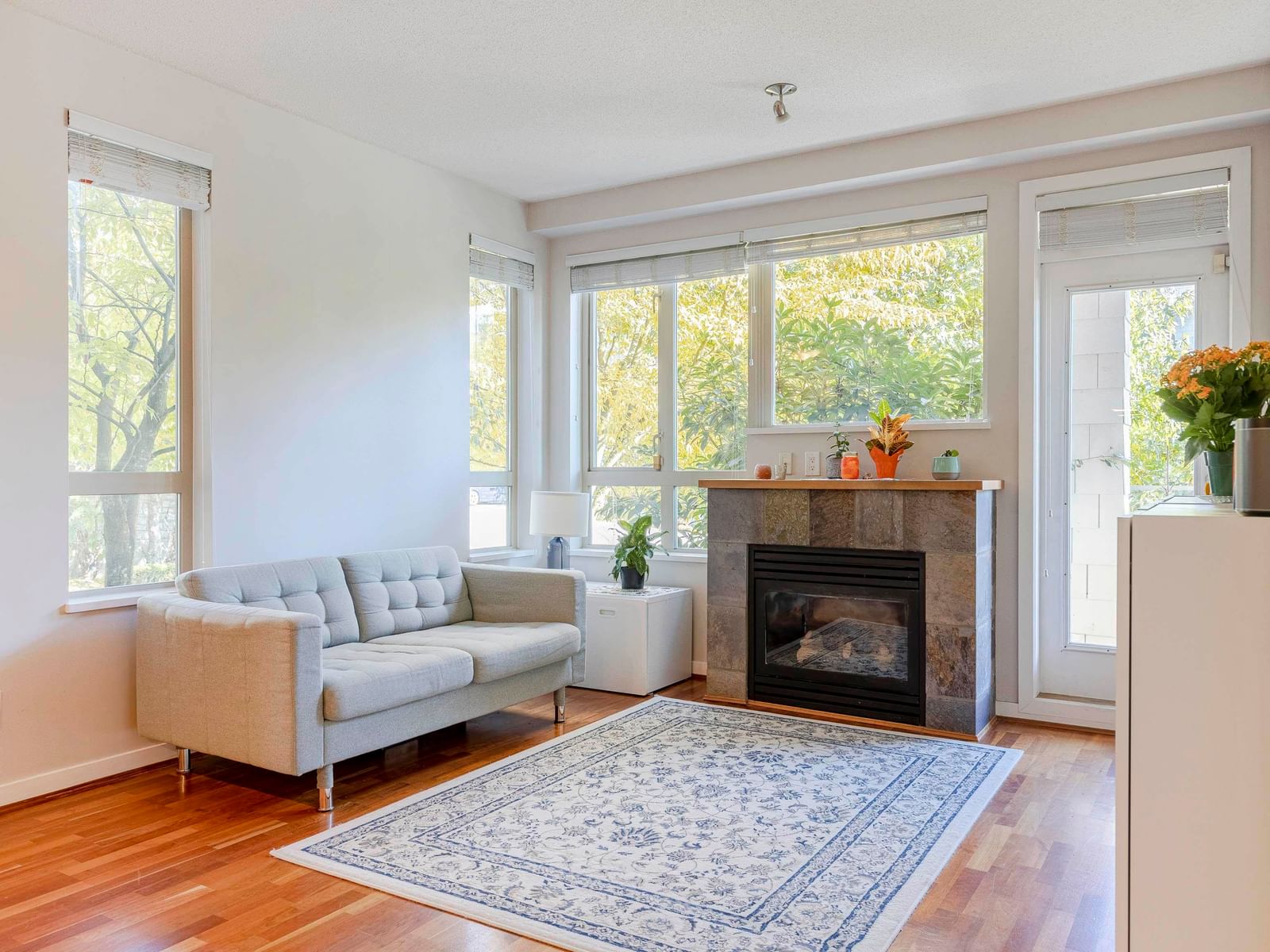 Listing Image 19