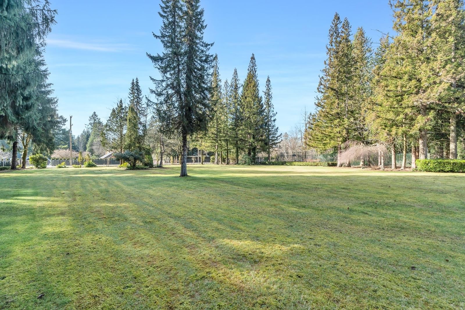 Listing Image 37