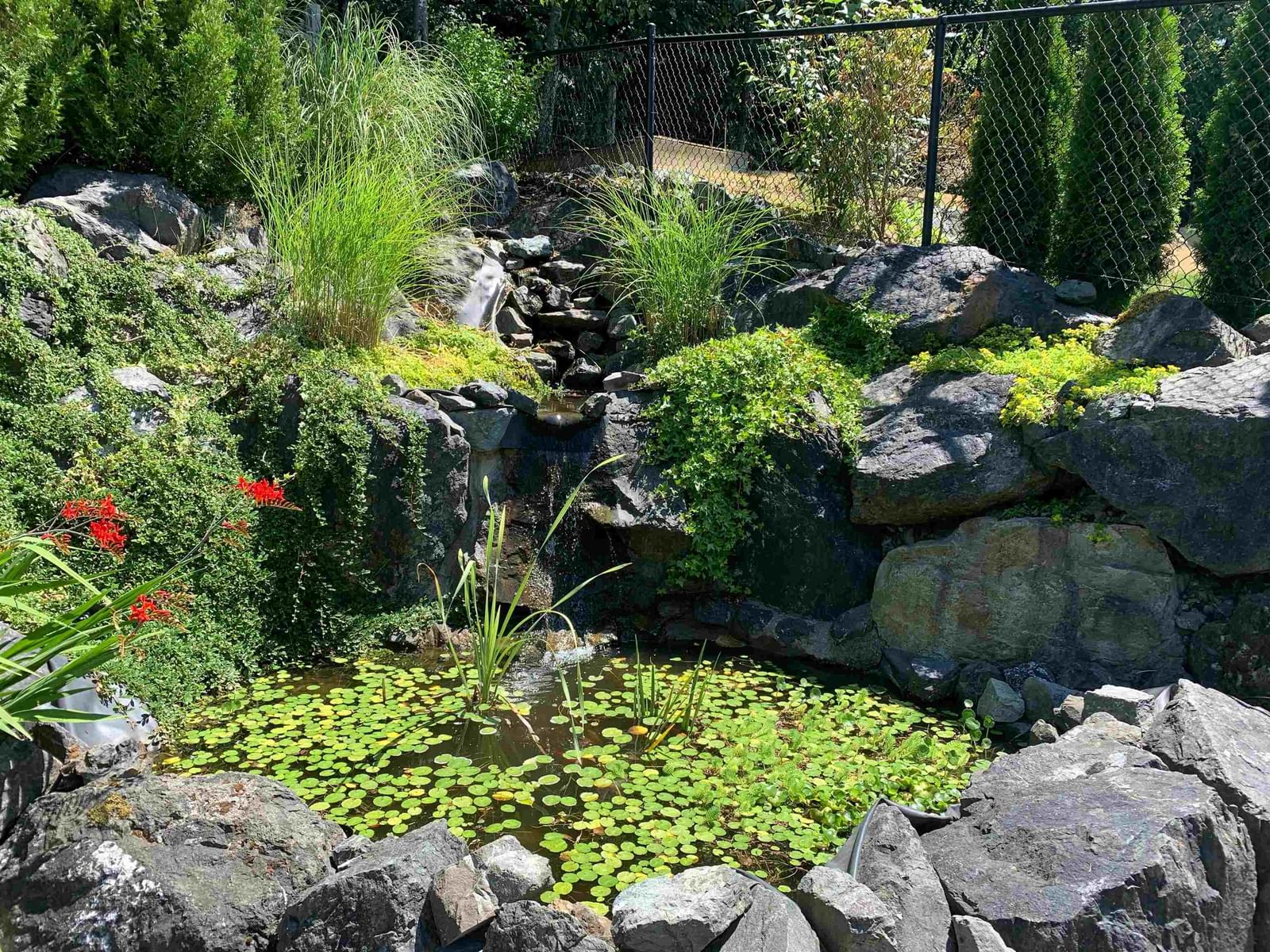 Listing Image 37