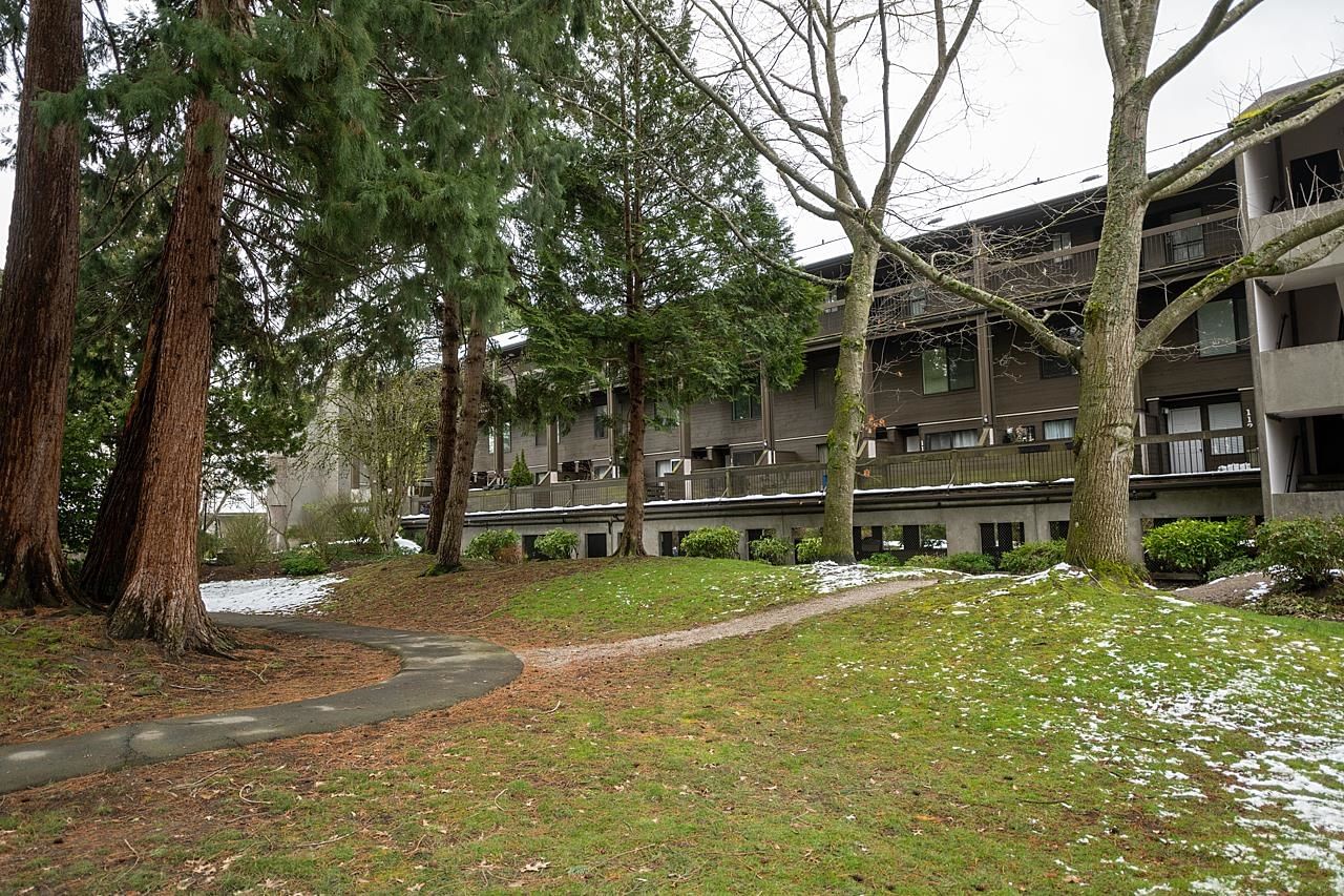 Listing Image 38