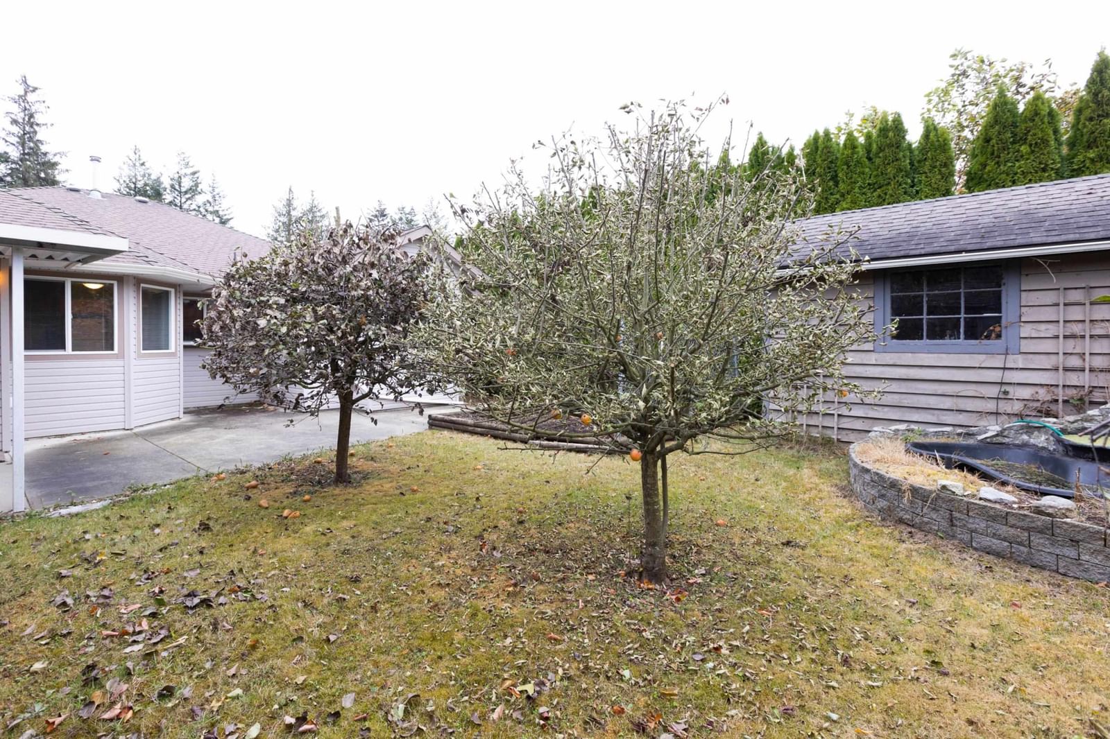 Listing Image 30