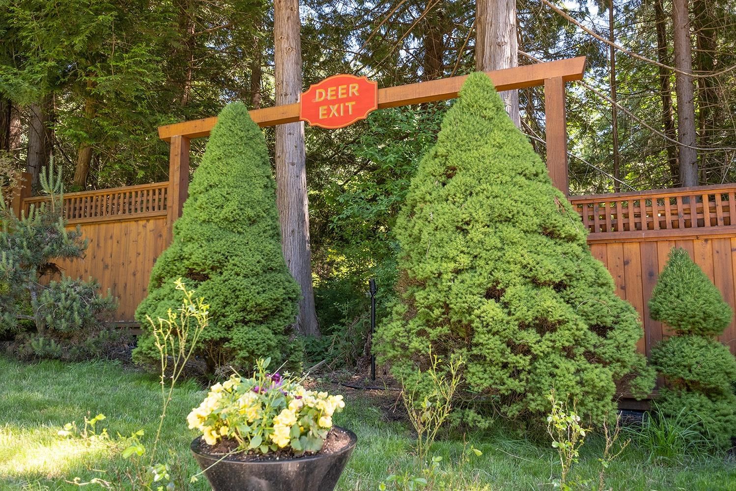 Listing Image 38