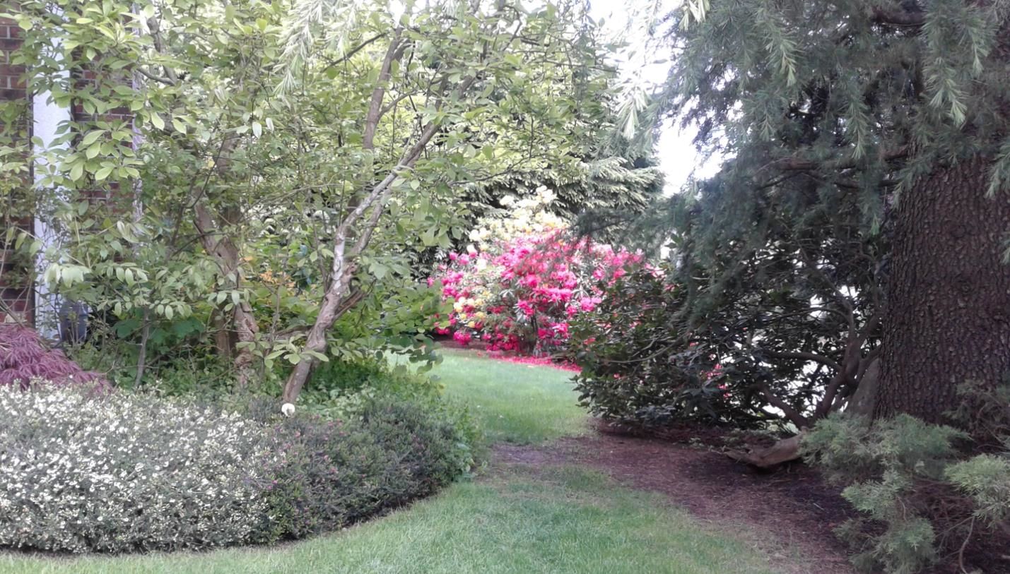 Listing Image 36