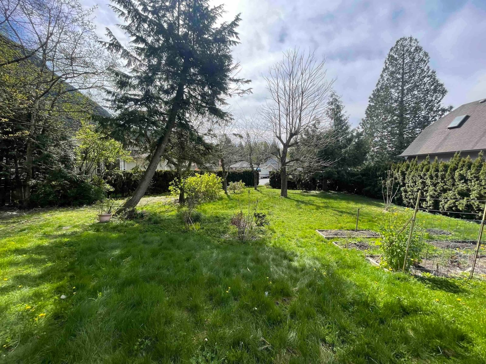 Listing Image 5