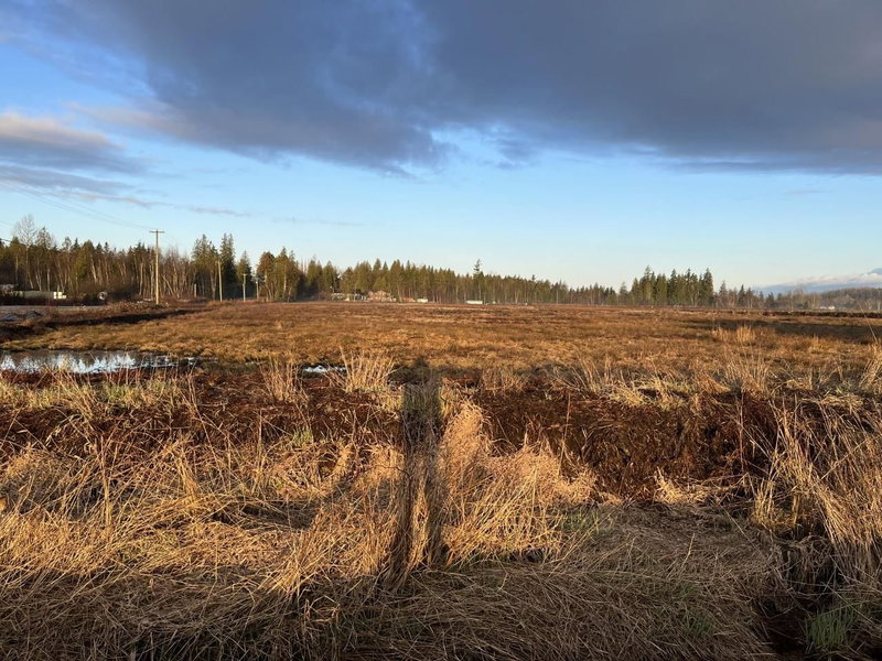 26215 84 Avenue, Langley, V1M 3M6 | Image 2