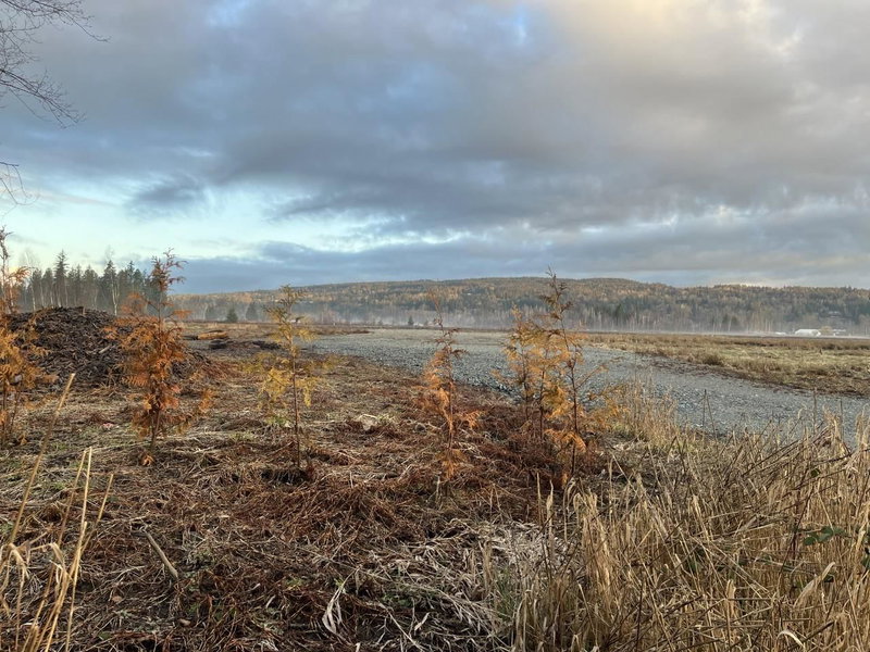 26215 84 Avenue, Langley, V1M 3M6 | Image 3