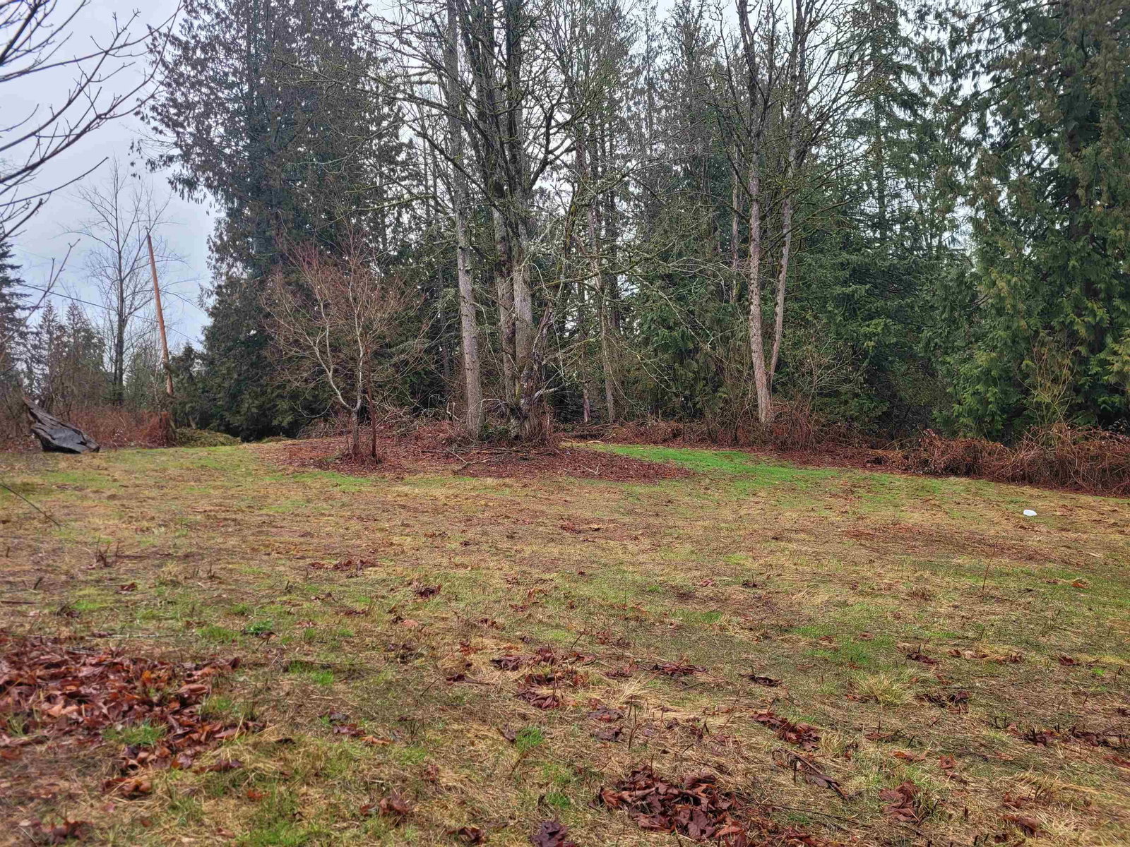 Listing Image 24