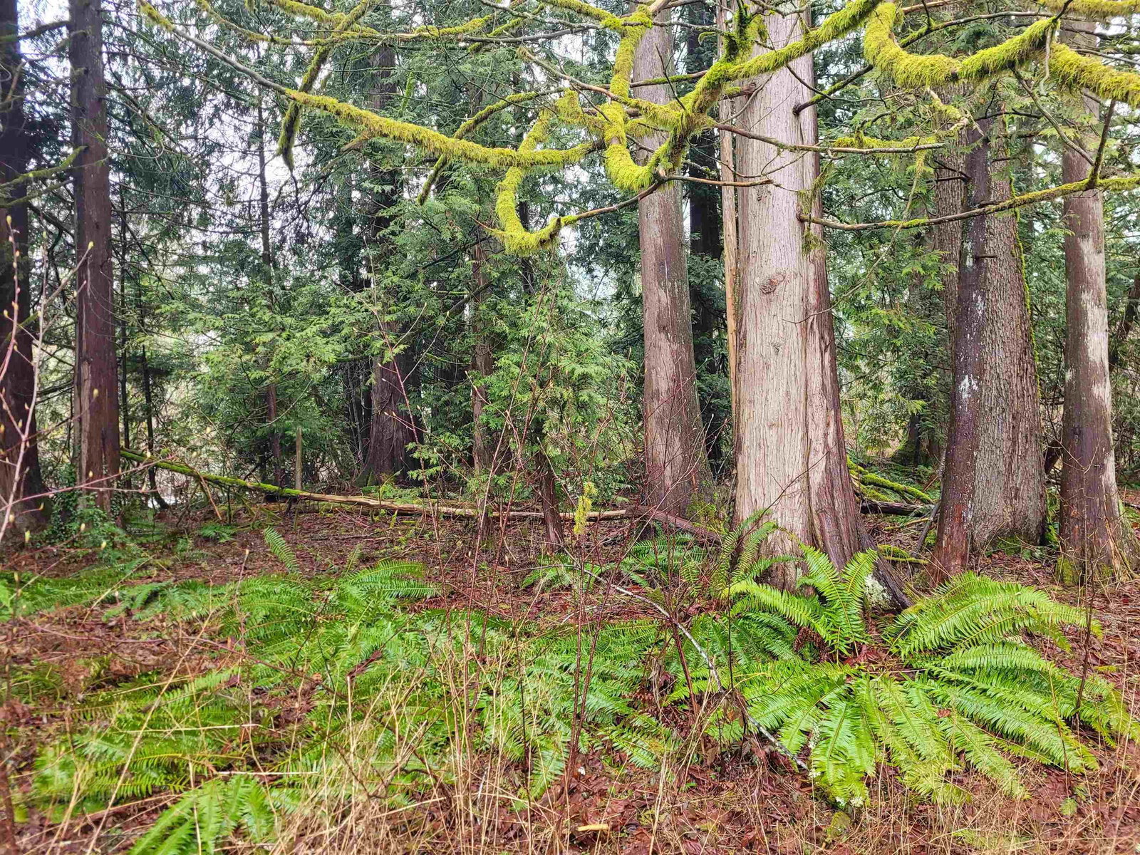 Listing Image 25