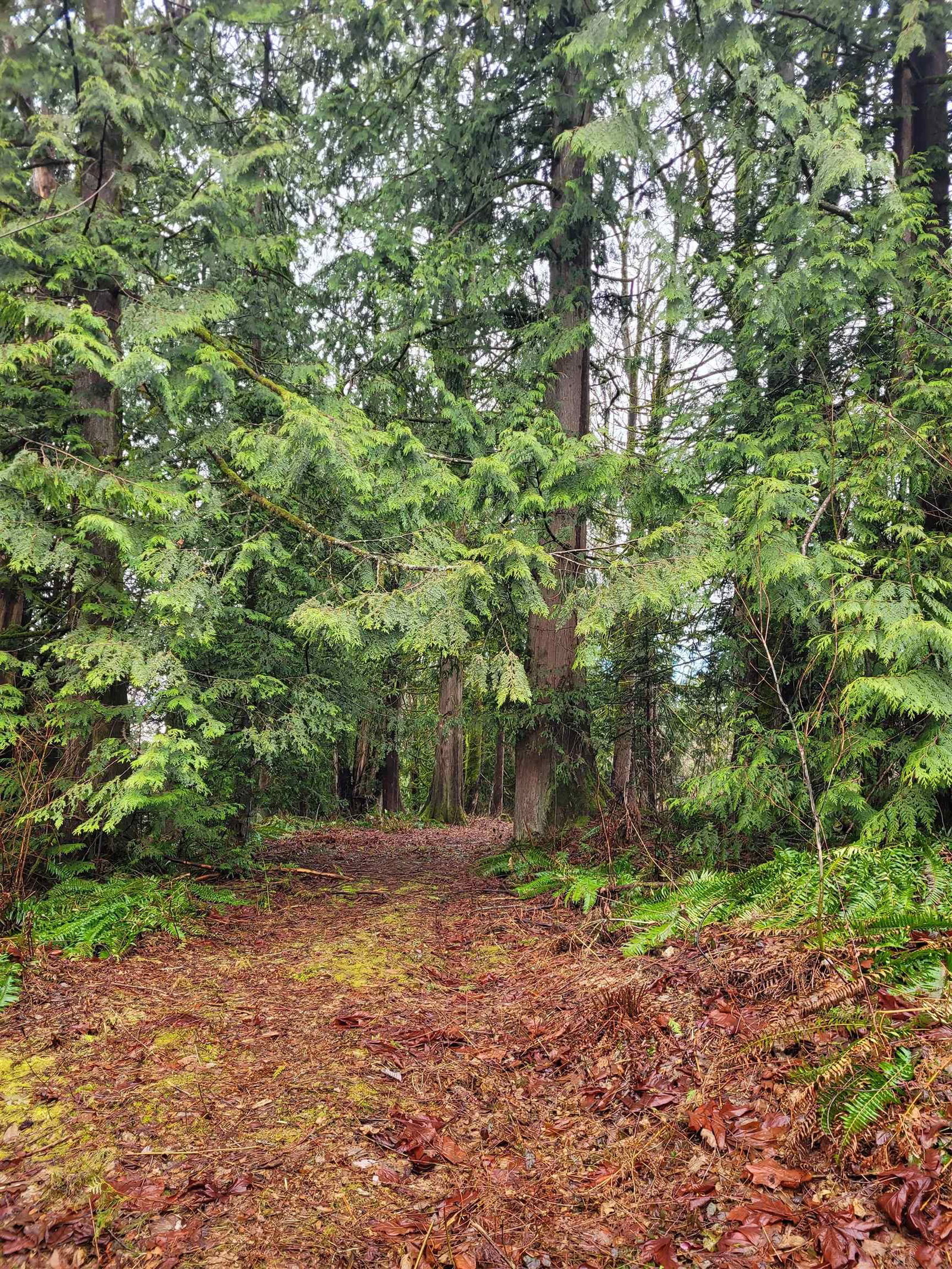 Listing Image 26