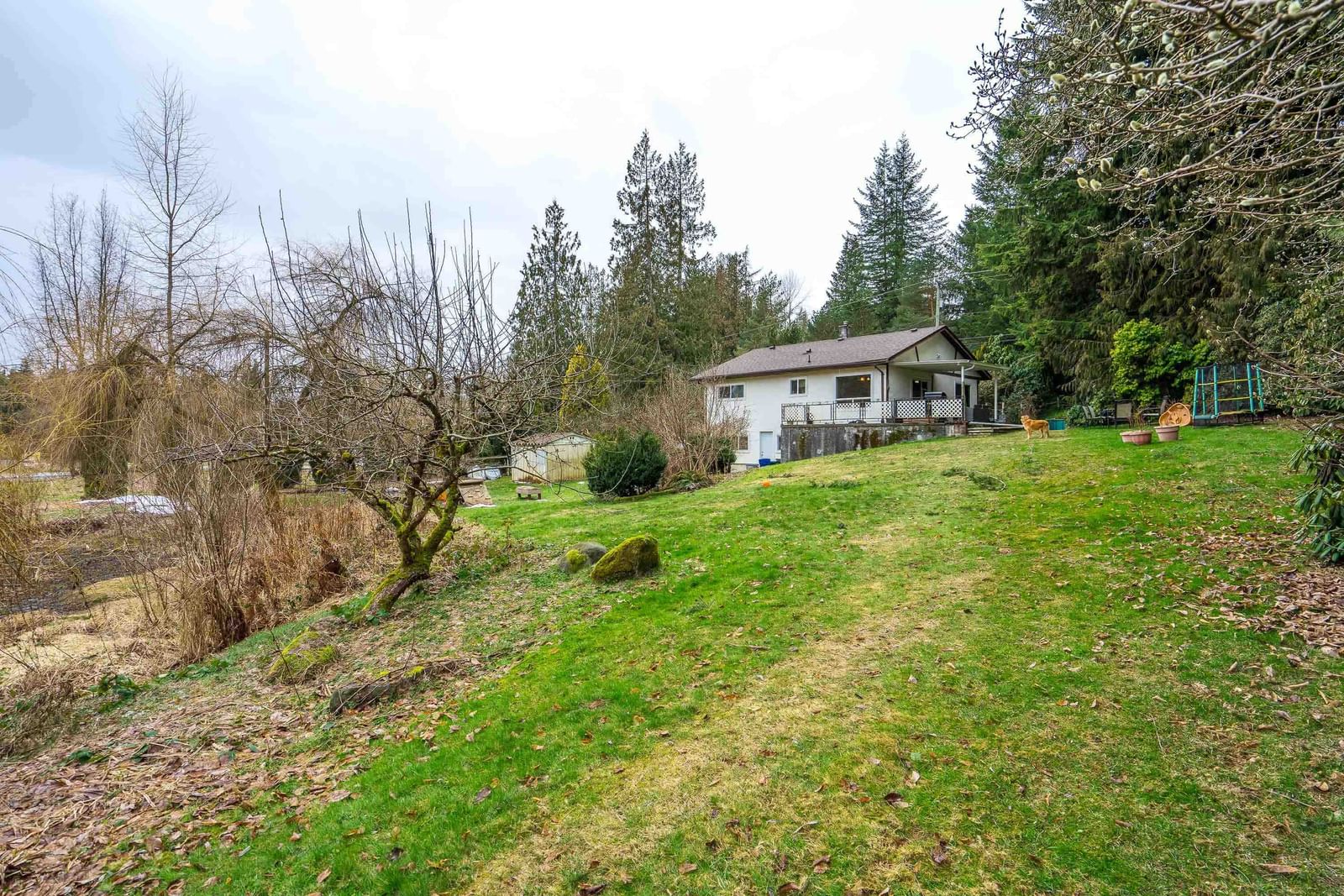 Listing Image 27