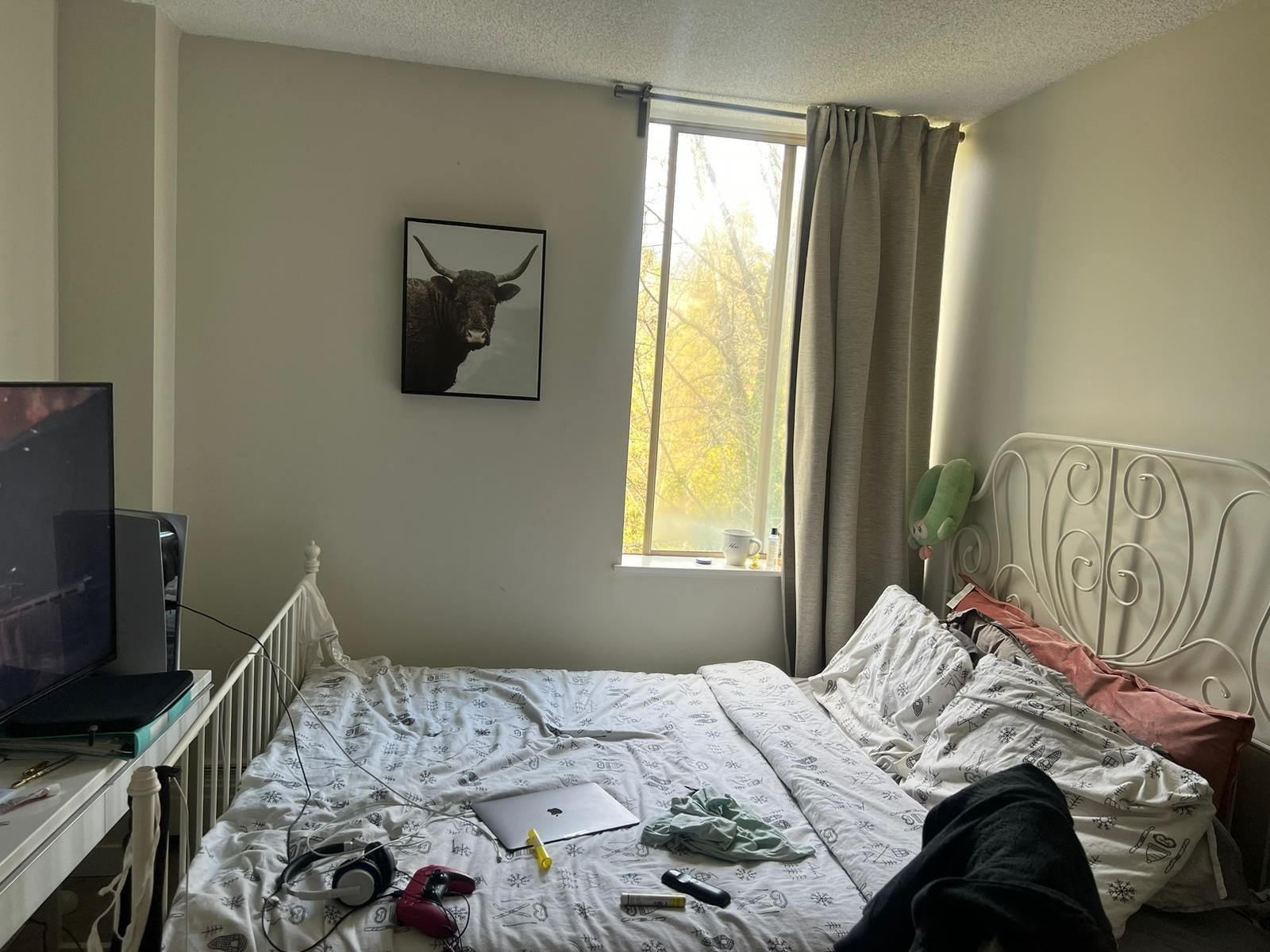 Listing Image 13