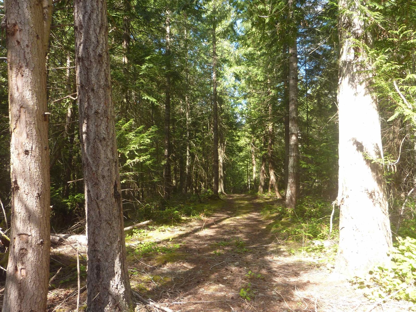 Listing Image 18