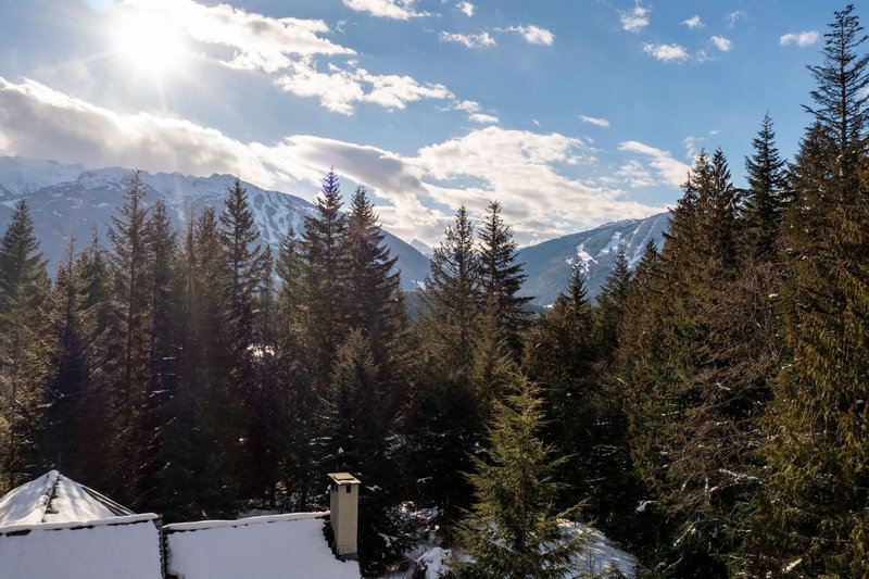 8648 Lakewood Court, Whistler, V8E 0G1 | Image 3