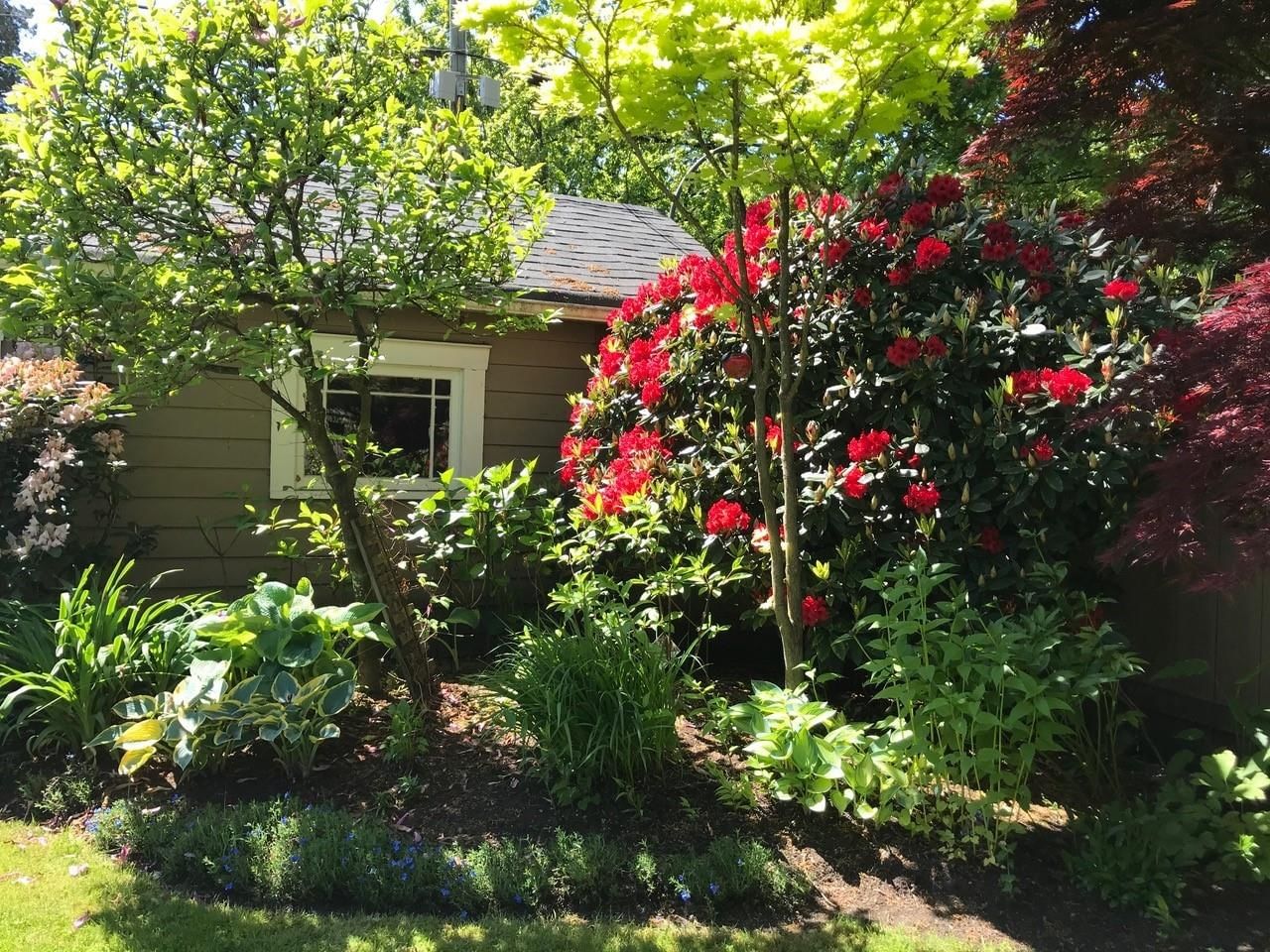 Listing Image 28
