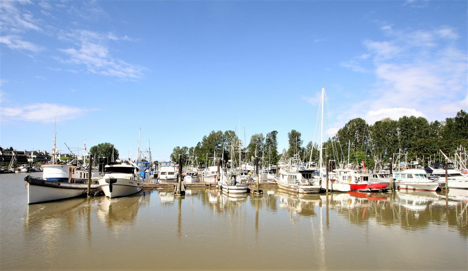 Listing Image 39