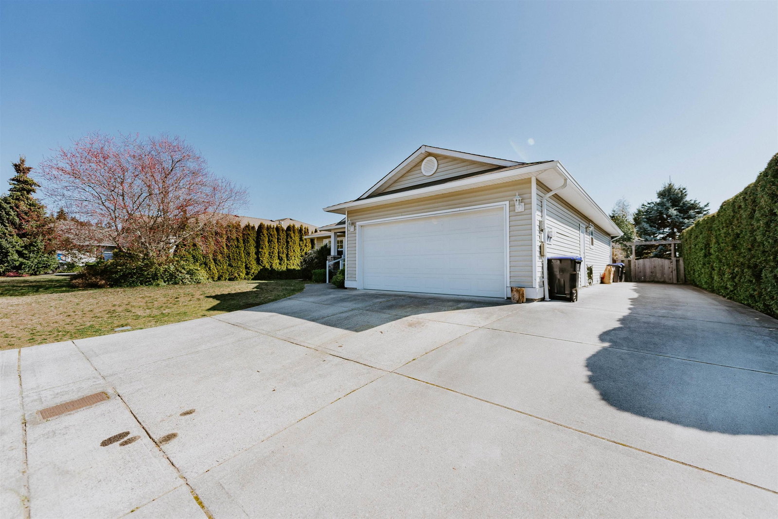 Listing Image 20