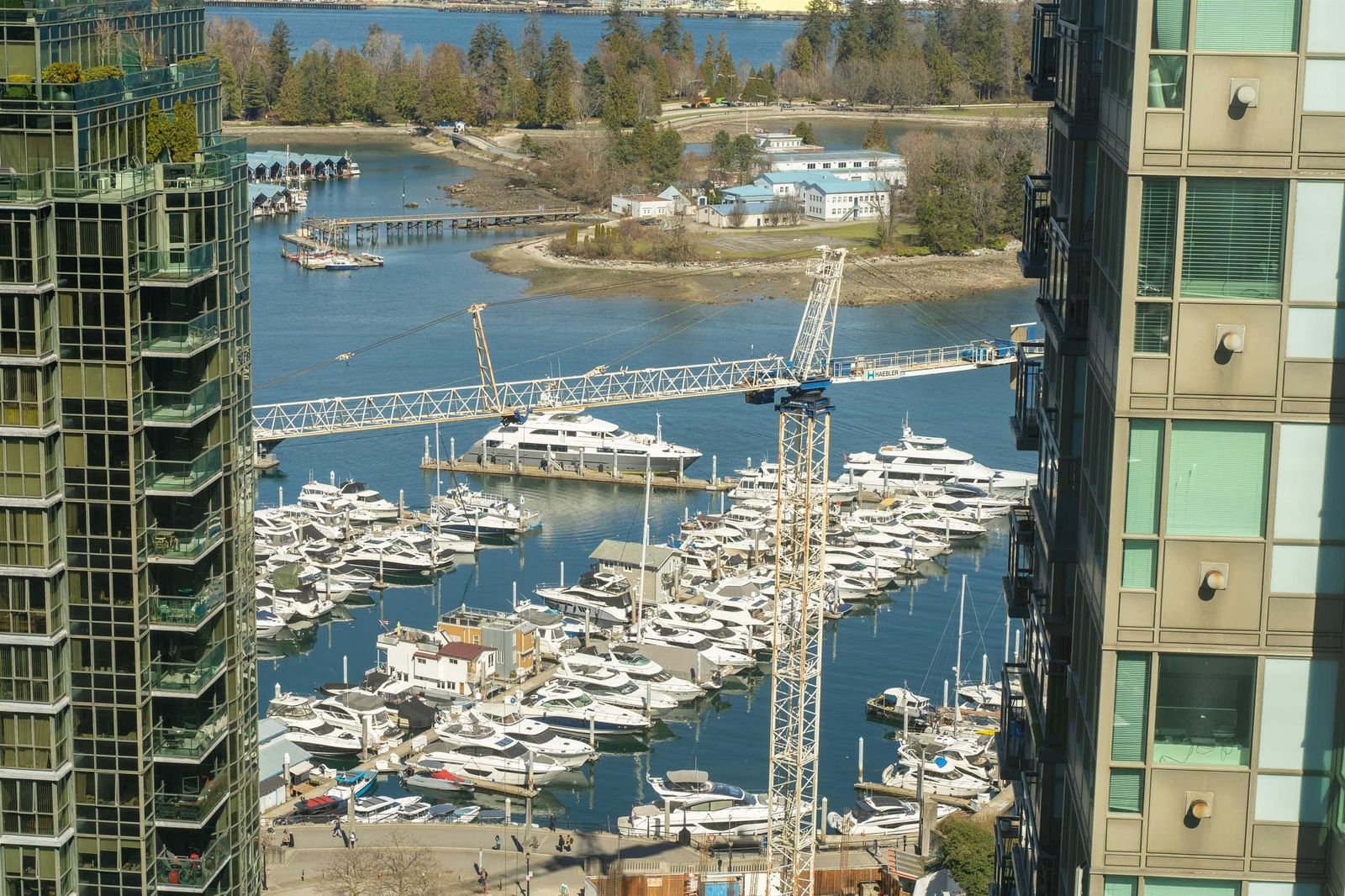 Listing Image 19
