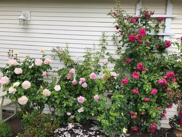 Listing Image 27