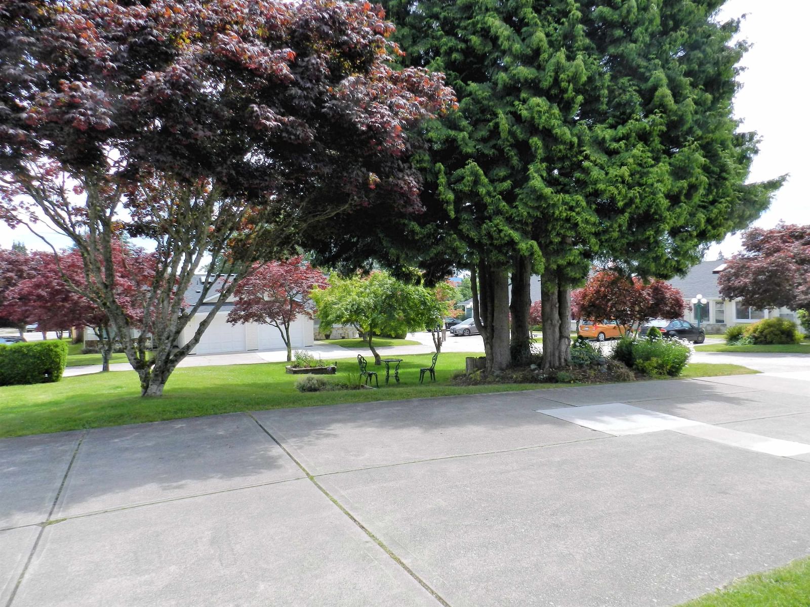 Listing Image 31