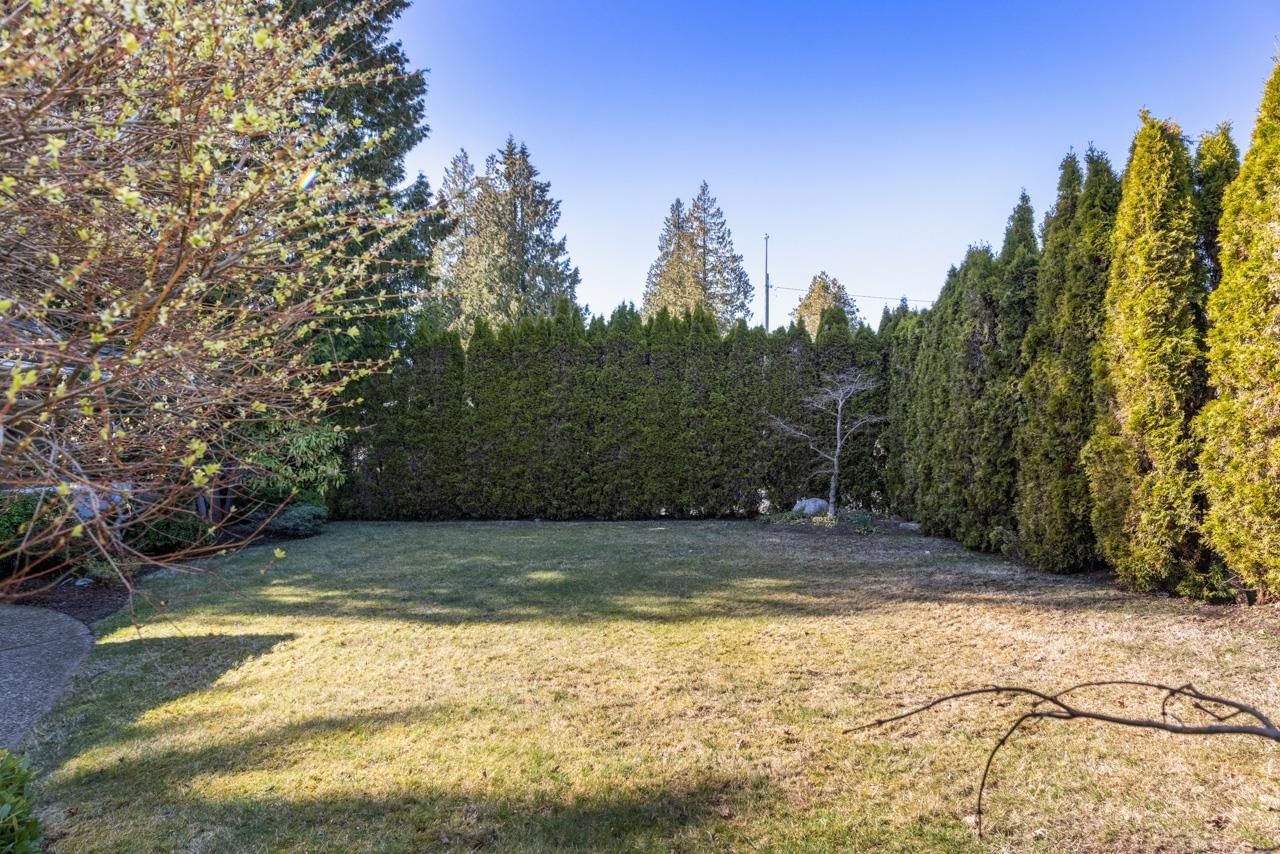 Listing Image 31