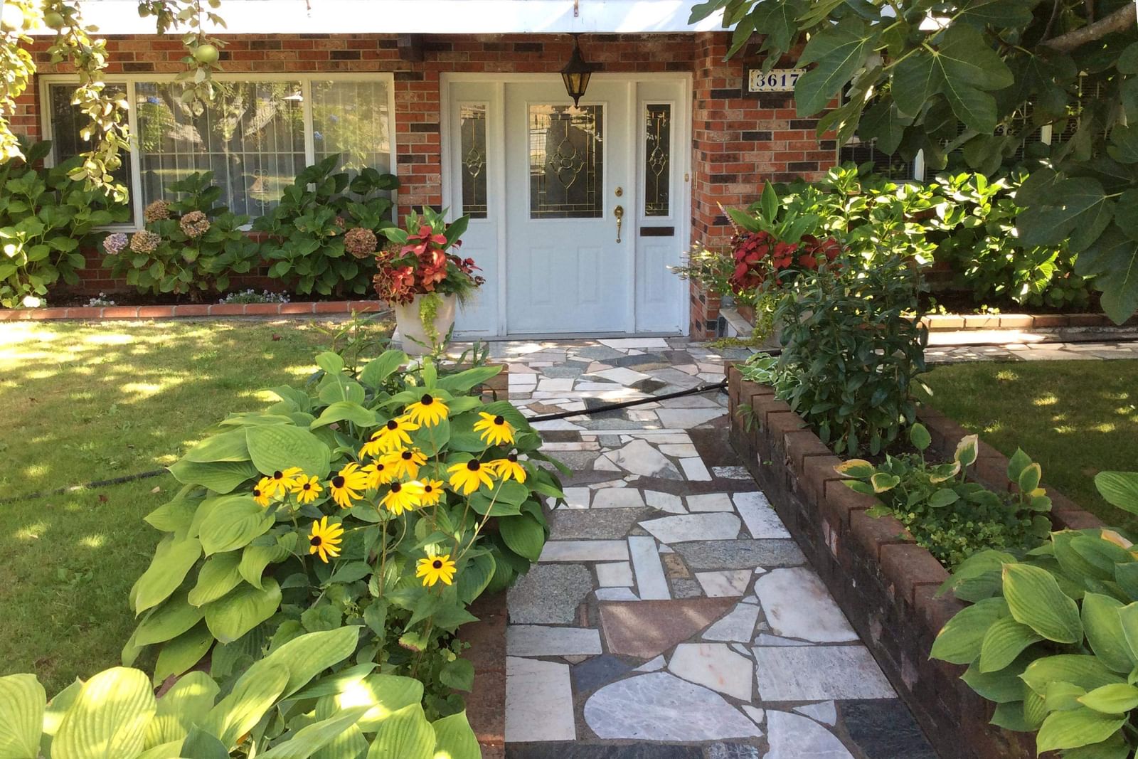 Listing Image 33