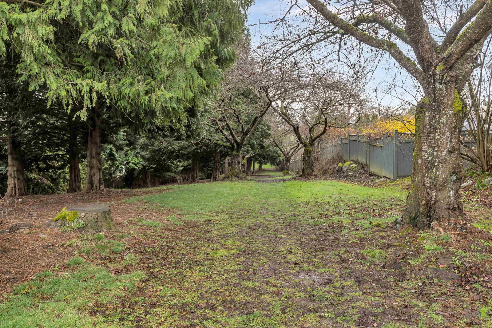 Listing Image 40