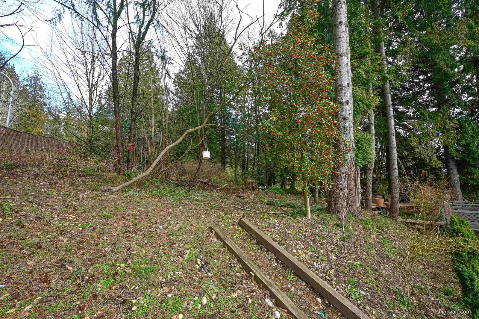 Listing Image 28