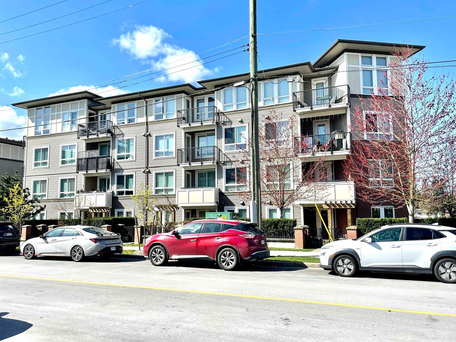 Listing Image 19