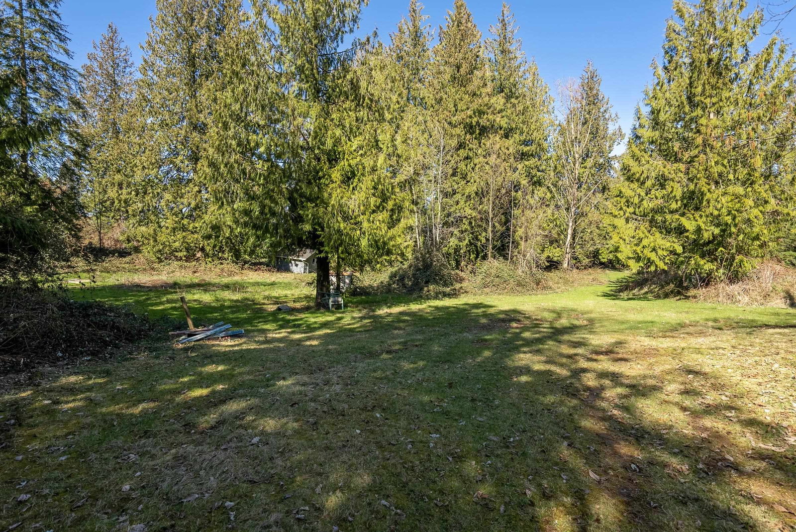Listing Image 17
