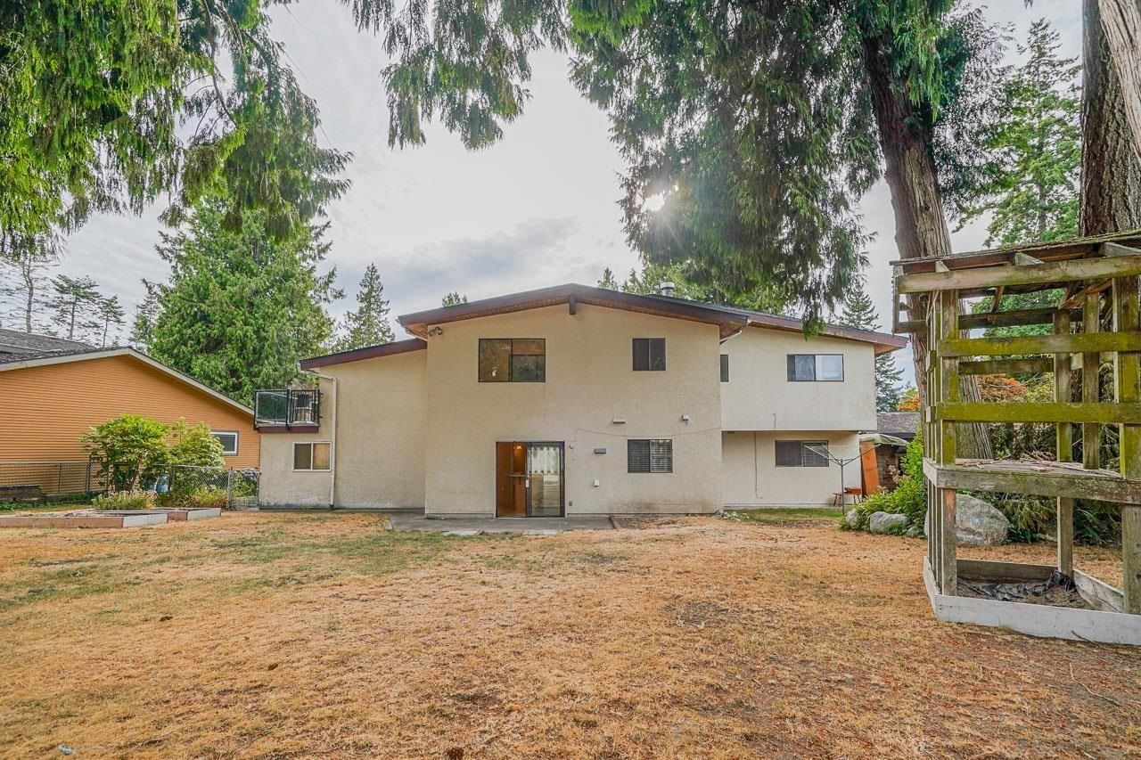 Listing Image 20