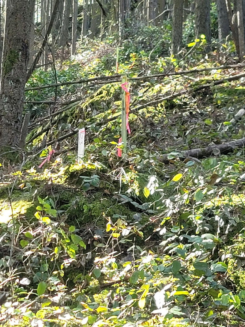 135 Oak Court, Anmore, V3H 4W9 | Image 3