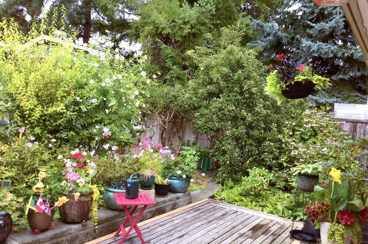 Listing Image 35