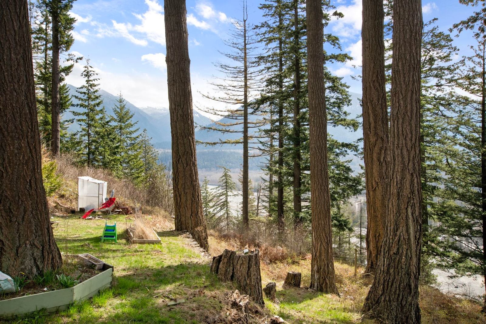 Listing Image 9